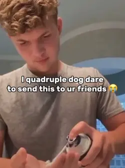 Dad joke 🤭