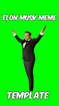 Elon musk meme 