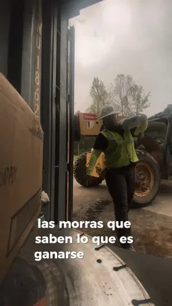 Trabajadores