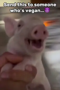 Bacon Meme