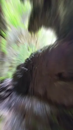 Chasing waterfalls