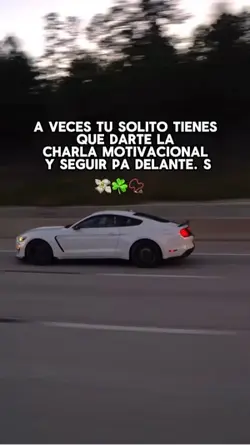 💸☘️ 