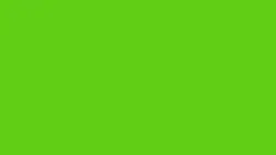 GREEN SCREEN TIKTOK 
