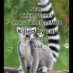 NEW THEROTYPE ALERT