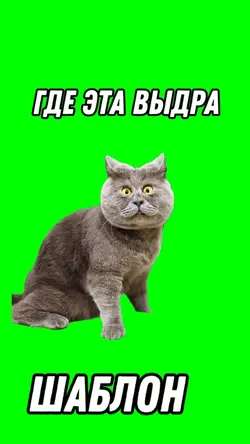 Где эта Выдра 
