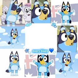 every bluey…