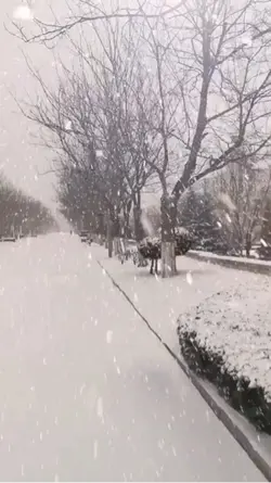 Winter snow