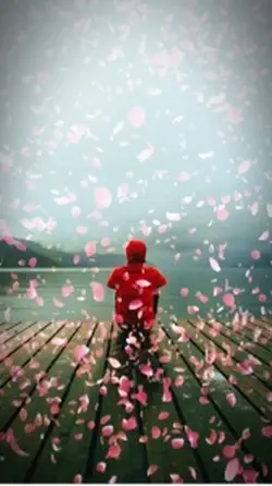 Falling roses