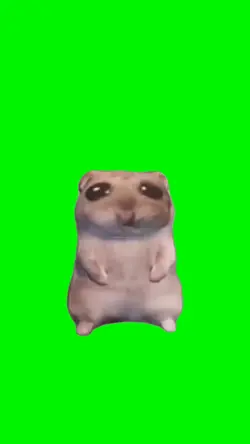 Hamster dance 