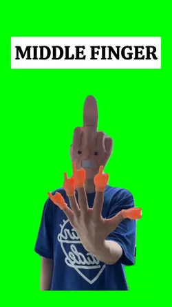 MIDDLE FINGER meme