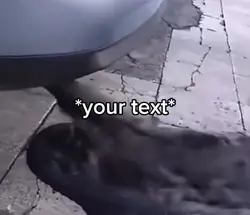 Car pooping 
