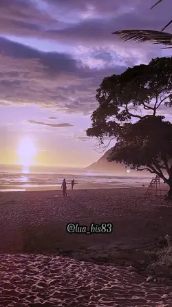 Meus sentimentos 