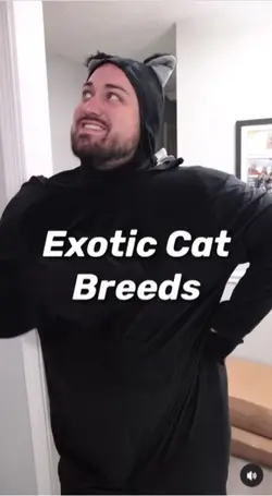 Exotic cats😂