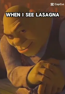 lasagna look