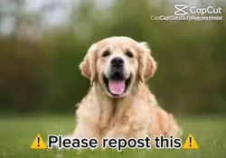 NOT MINE JUST WANTED