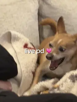 live photodump