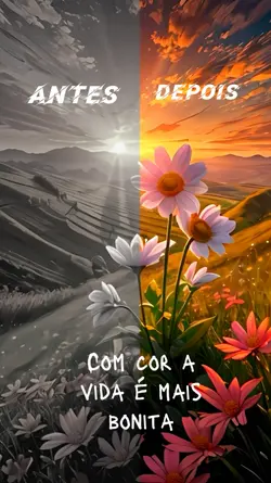 Antes e Depois 