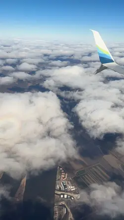 Fly