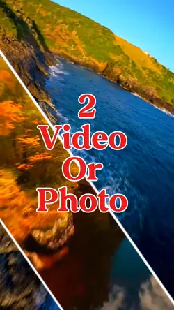 2 video or photo 