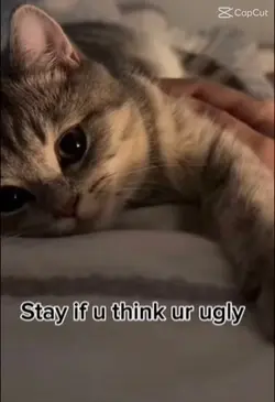 YOU ARE NOT UGL