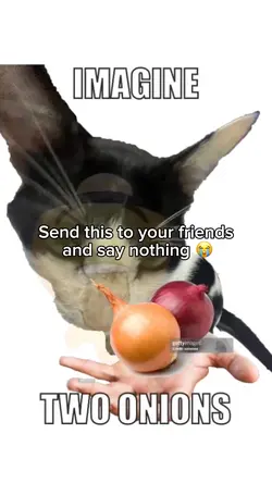 Imagine two onions