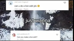 lion edit