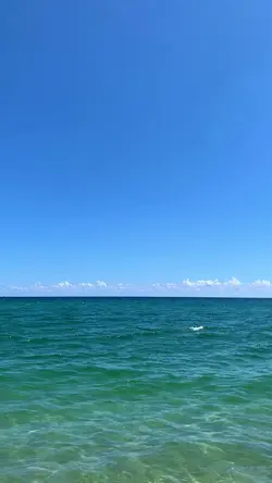 8 VideoDump Simple