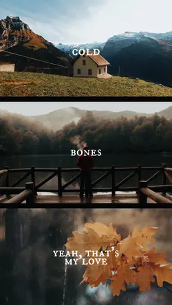 aesthetic collage