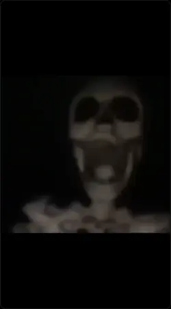 Skelton meme