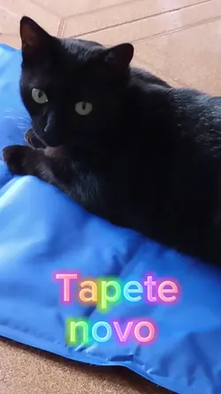 Tapete novo