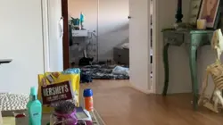 Cat battle