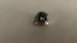 Yay!