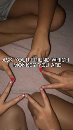 Monkeys 🙈 