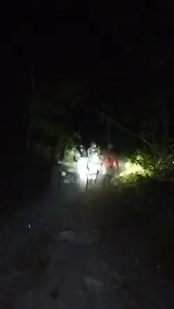noturna 