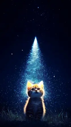 Gatinho 