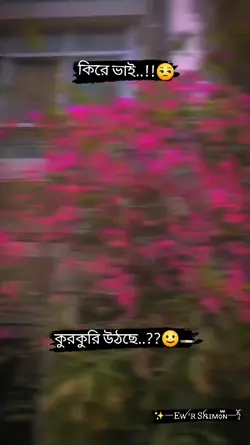কুরকুরি উঠছে..??