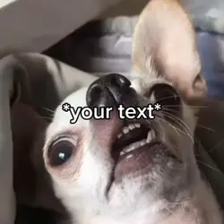 Dog thinking 