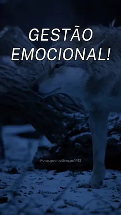 🏆Gestão emocional🏆