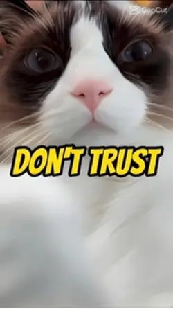 Don’t trust it
