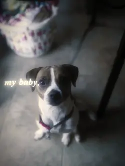My baby
