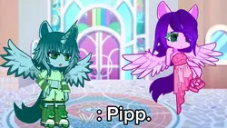 DAMN PIPP.