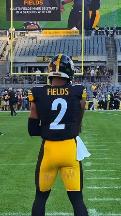 Free fields edit
