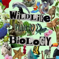 Wildlife biology