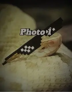 Fast Edit