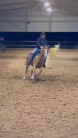 rode bareback tdy 😽