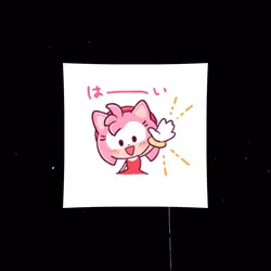 AMY 💕