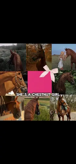 Chestnut horse 🐎 