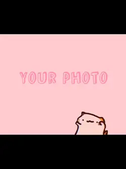 Cat dancing meme