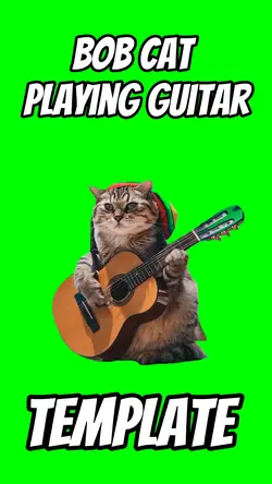 Bob cat Guitar 