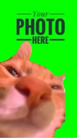 Cat Speaking 